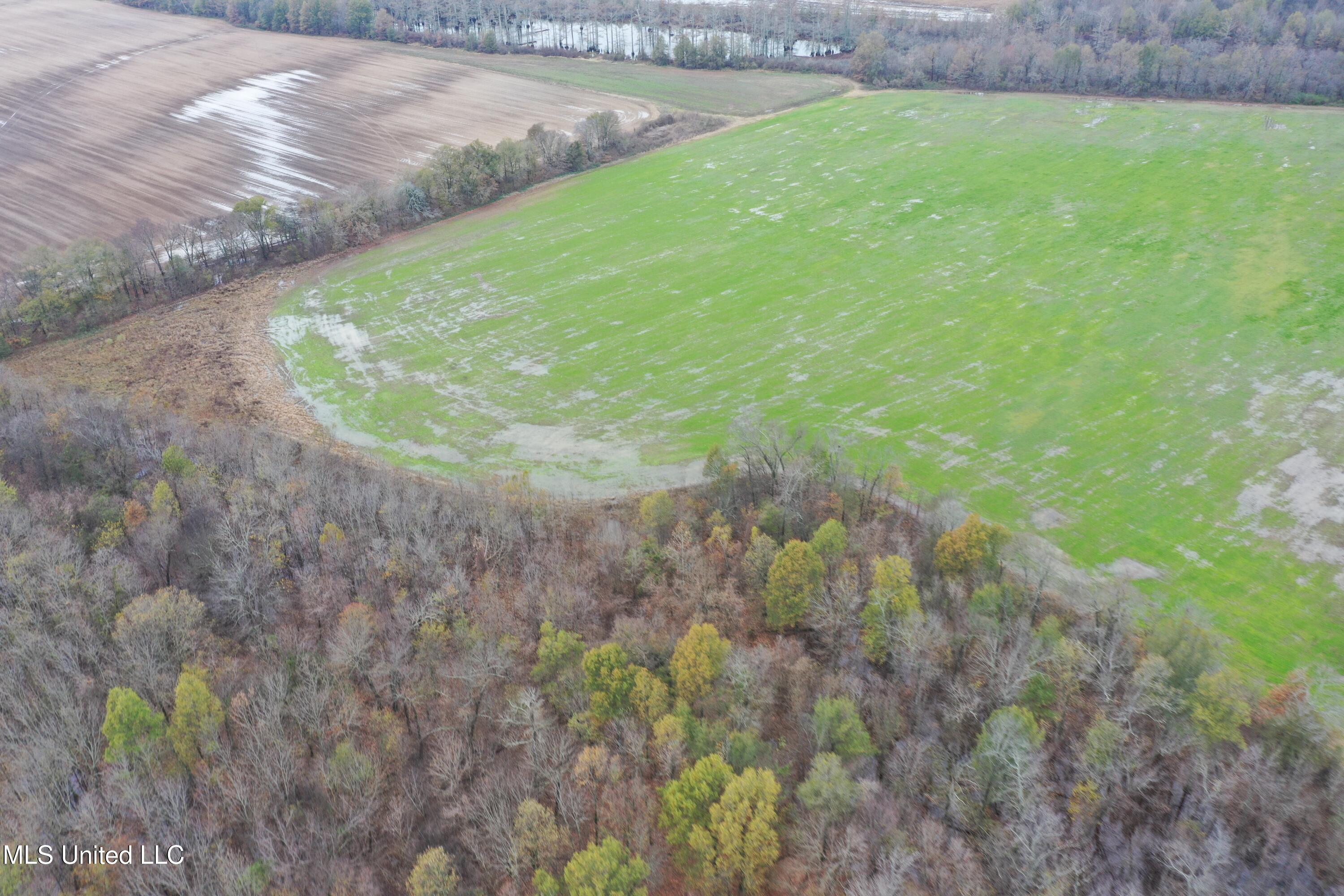 2000 Walnut Lake Road Dundee, MS 38626 - Photo 14 of 34 DJI_0709