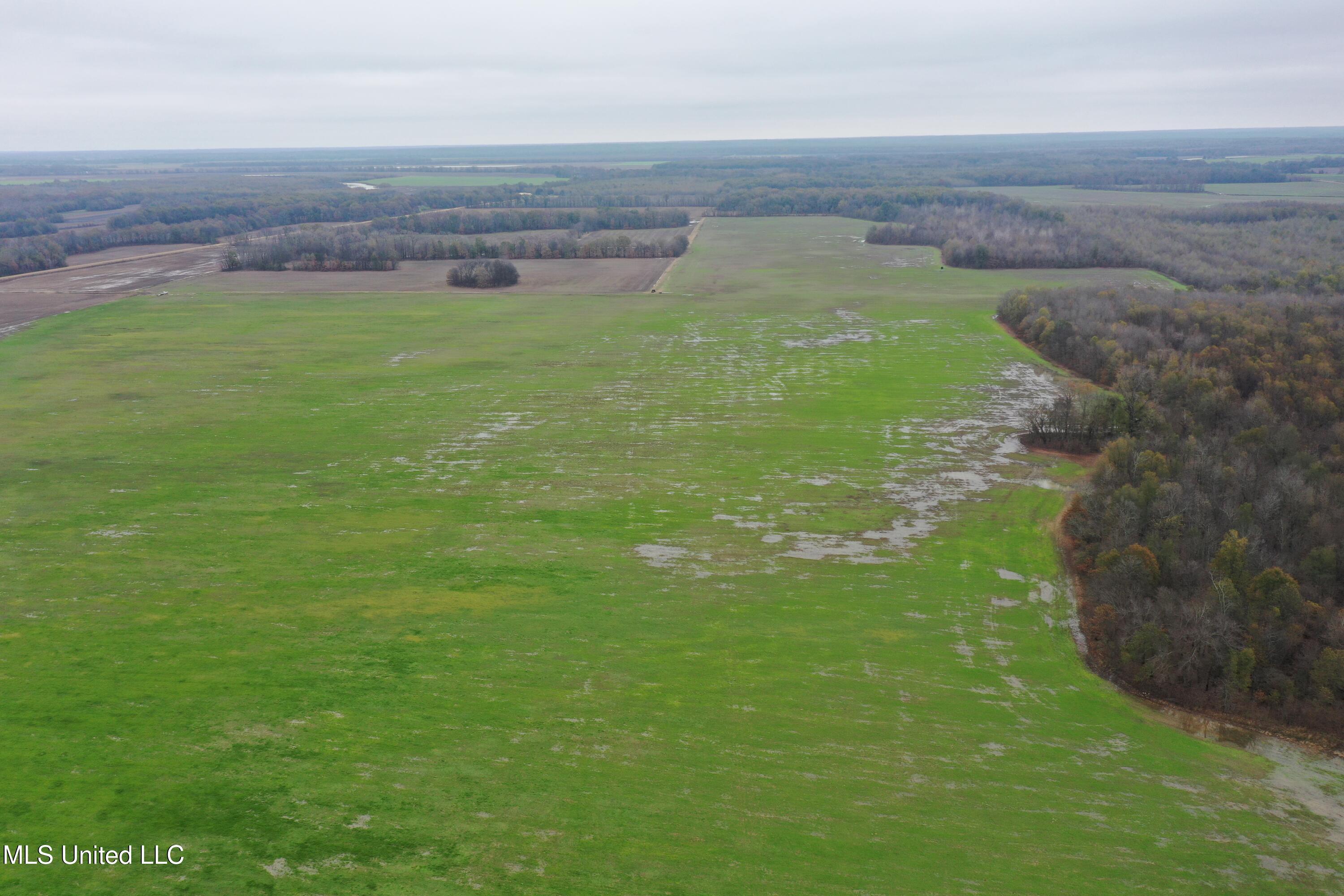 2000 Walnut Lake Road Dundee, MS 38626 - Photo 16 of 34 DJI_0711