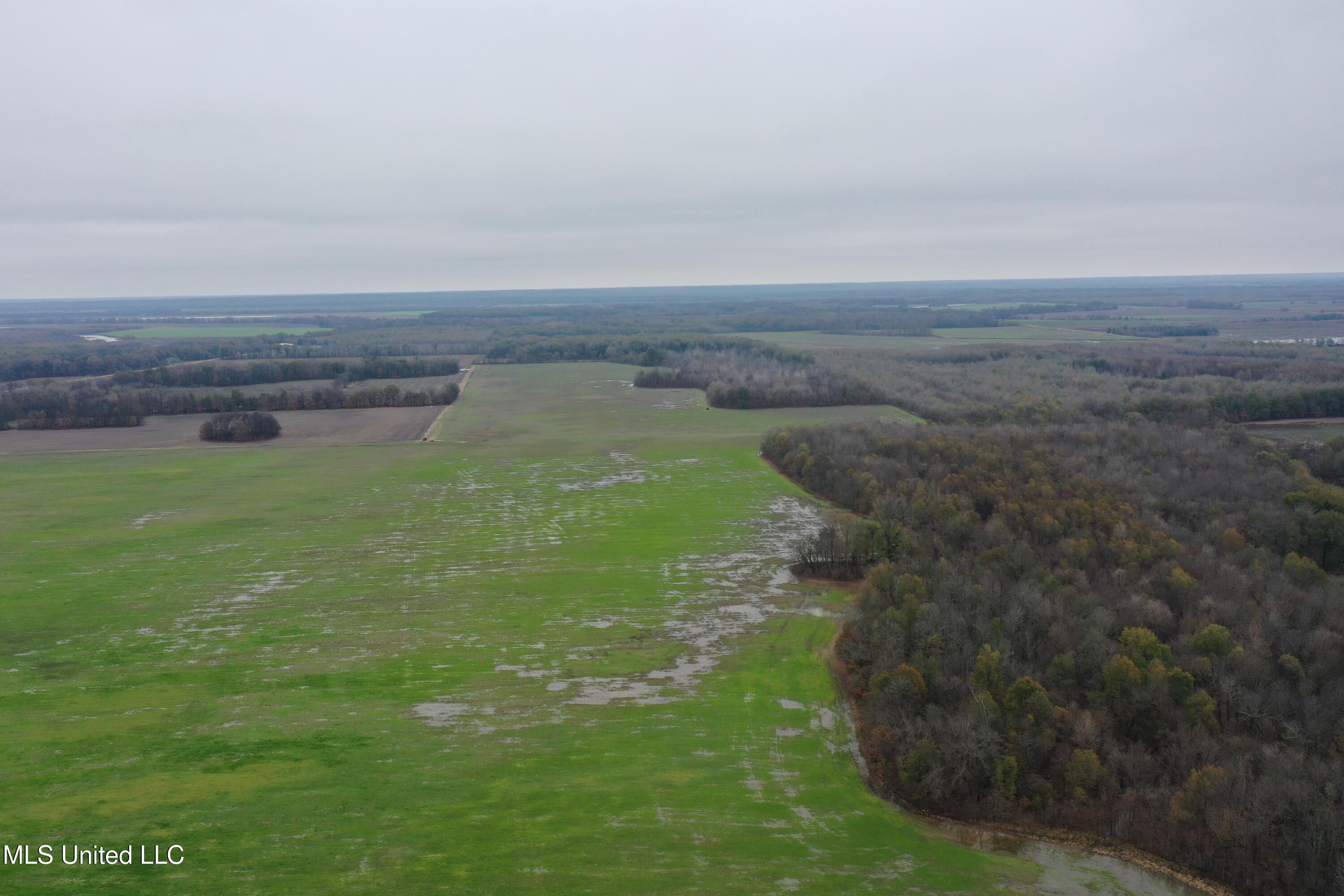2000 Walnut Lake Road Dundee, MS 38626 - Photo 17 of 34 DJI_0712