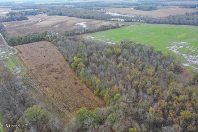 $1,250,000 | 2000 Walnut Lake Road, Dundee, MS 38626