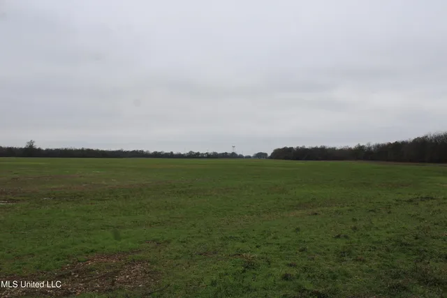 $1,250,000 | 2000 Walnut Lake Road, Dundee, MS 38626