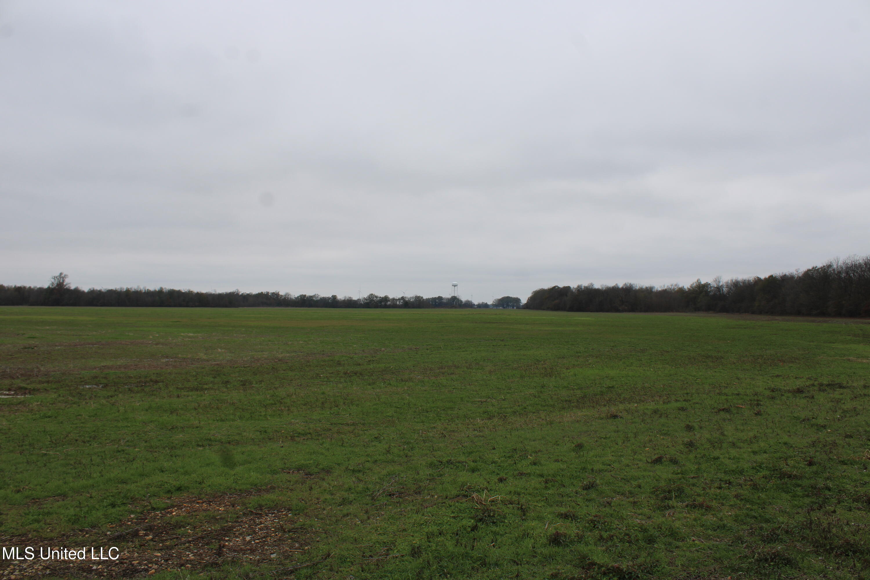 2000 Walnut Lake Road Dundee, MS 38626 - Photo 20 of 34 IMG_6985