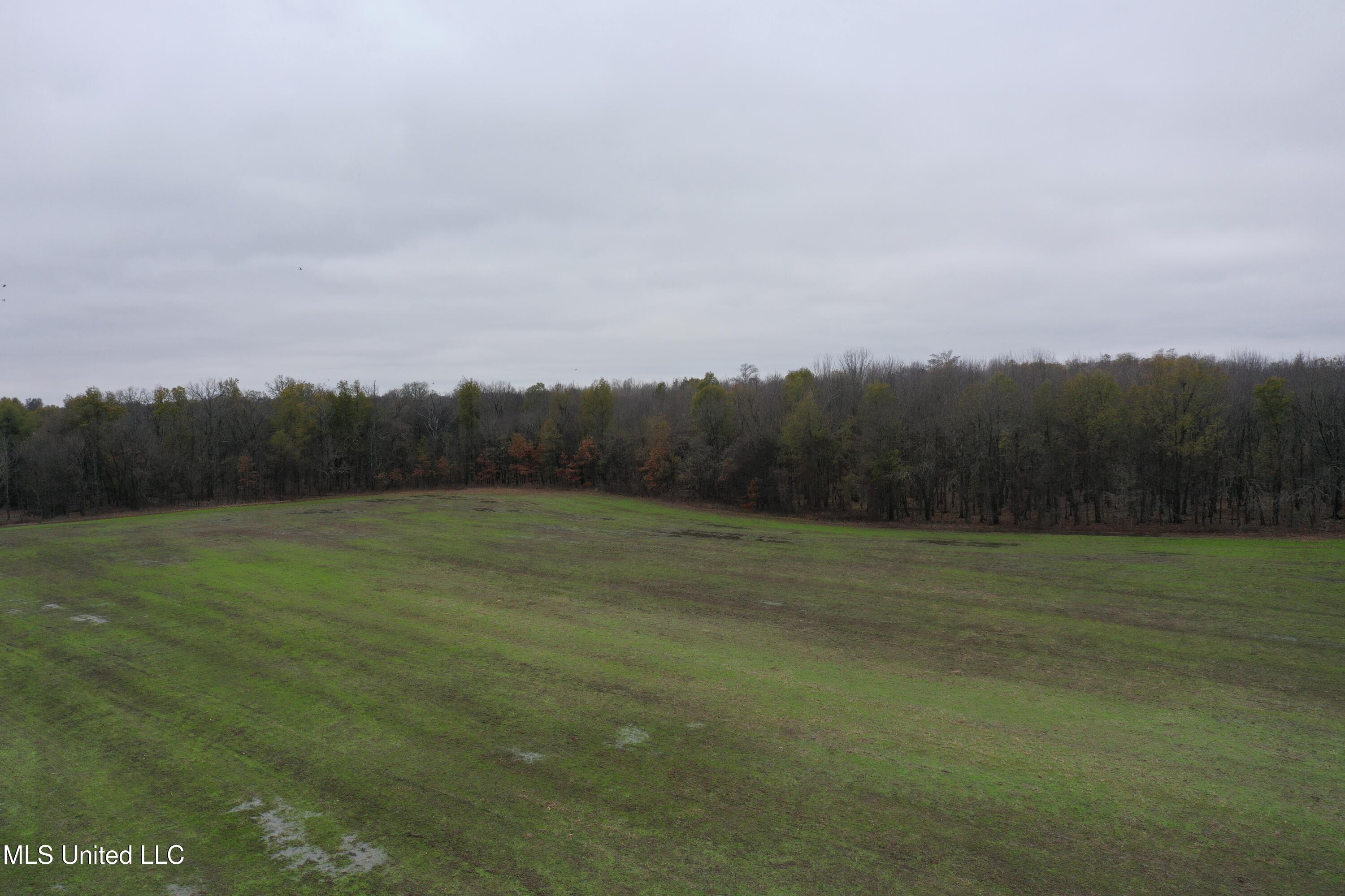 2000 Walnut Lake Road Dundee, MS 38626 - Photo 2 of 34 DJI_0697
