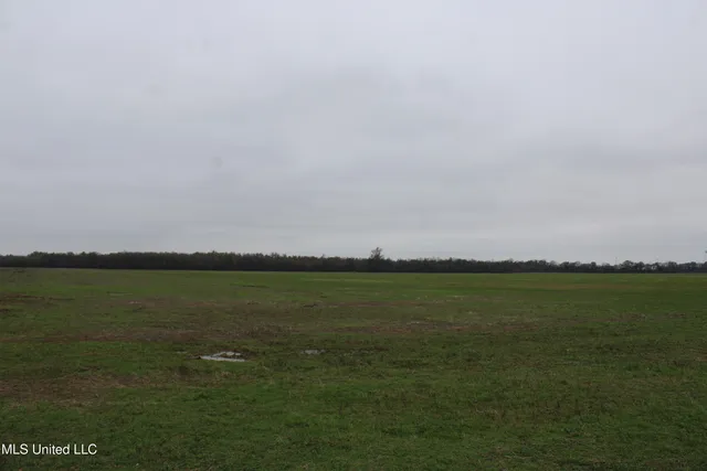 $1,250,000 | 2000 Walnut Lake Road, Dundee, MS 38626