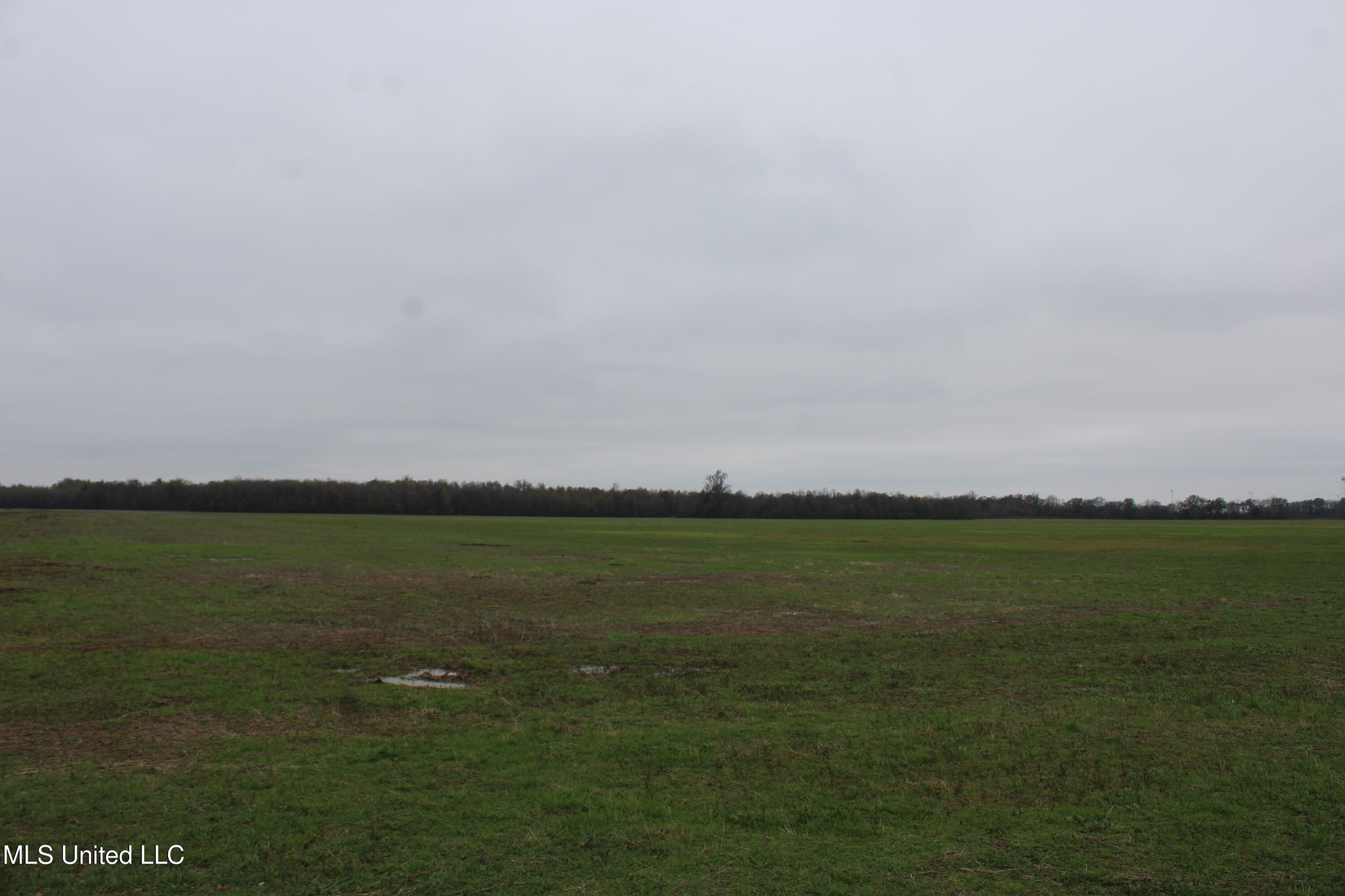 2000 Walnut Lake Road Dundee, MS 38626 - Photo 21 of 34 IMG_6986