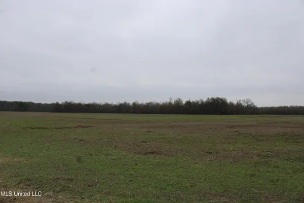 $1,250,000 | 2000 Walnut Lake Road, Dundee, MS 38626