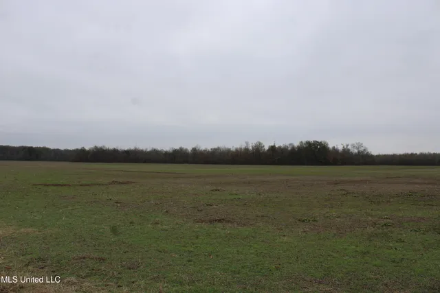 $1,250,000 | 2000 Walnut Lake Road, Dundee, MS 38626