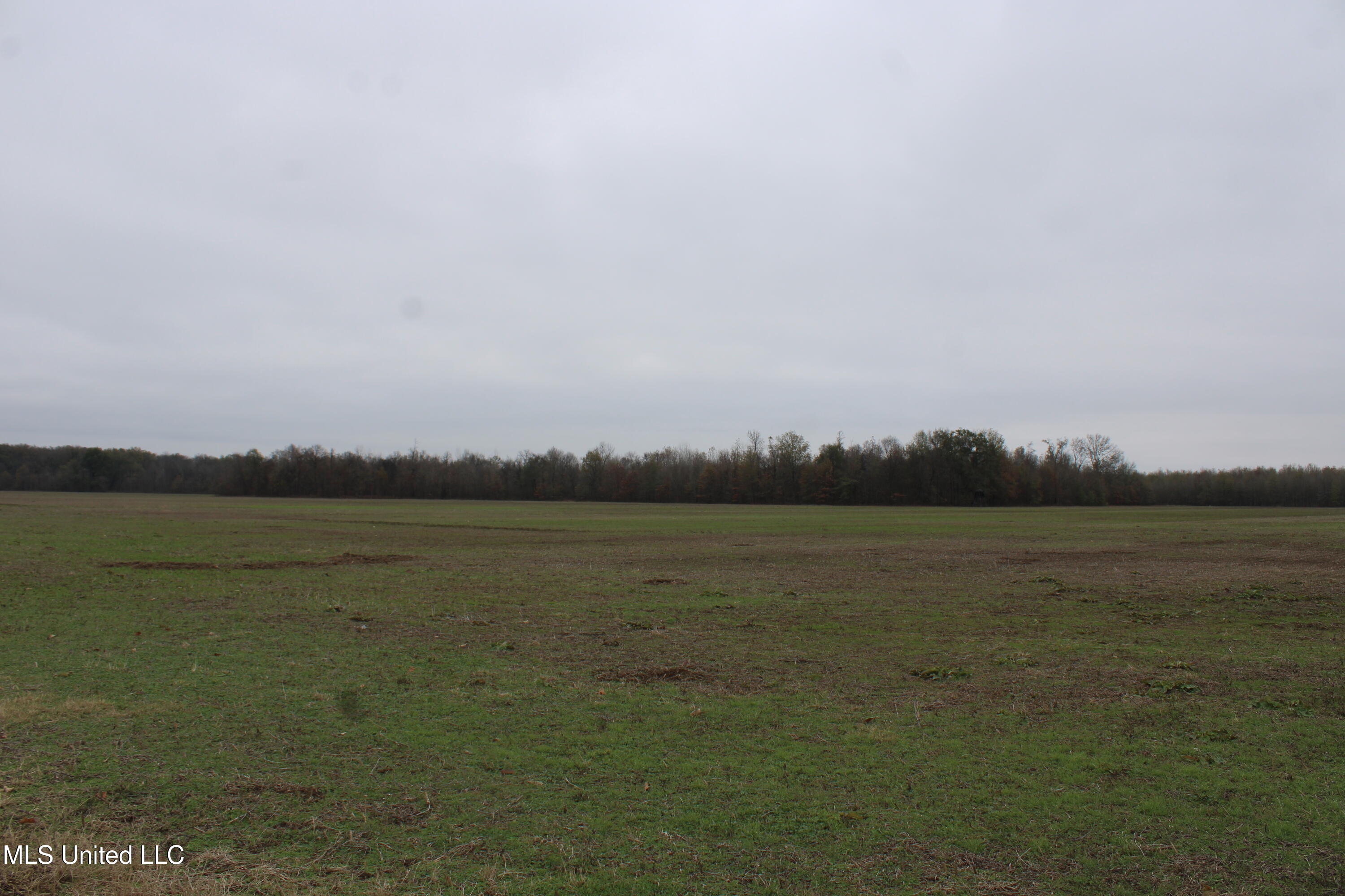 2000 Walnut Lake Road Dundee, MS 38626 - Photo 22 of 34 IMG_6987