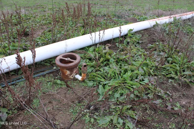 $1,250,000 | 2000 Walnut Lake Road, Dundee, MS 38626