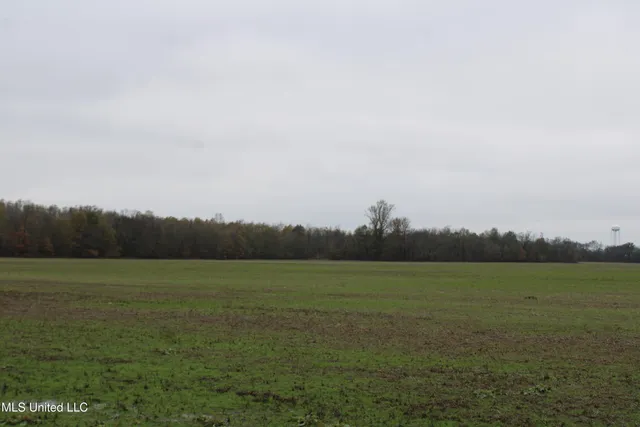 $1,250,000 | 2000 Walnut Lake Road, Dundee, MS 38626