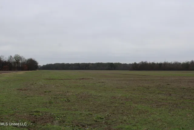 $1,250,000 | 2000 Walnut Lake Road, Dundee, MS 38626