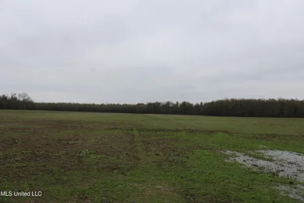 $1,250,000 | 2000 Walnut Lake Road, Dundee, MS 38626