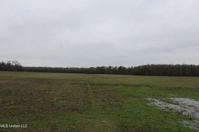 $1,250,000 | 2000 Walnut Lake Road, Dundee, MS 38626