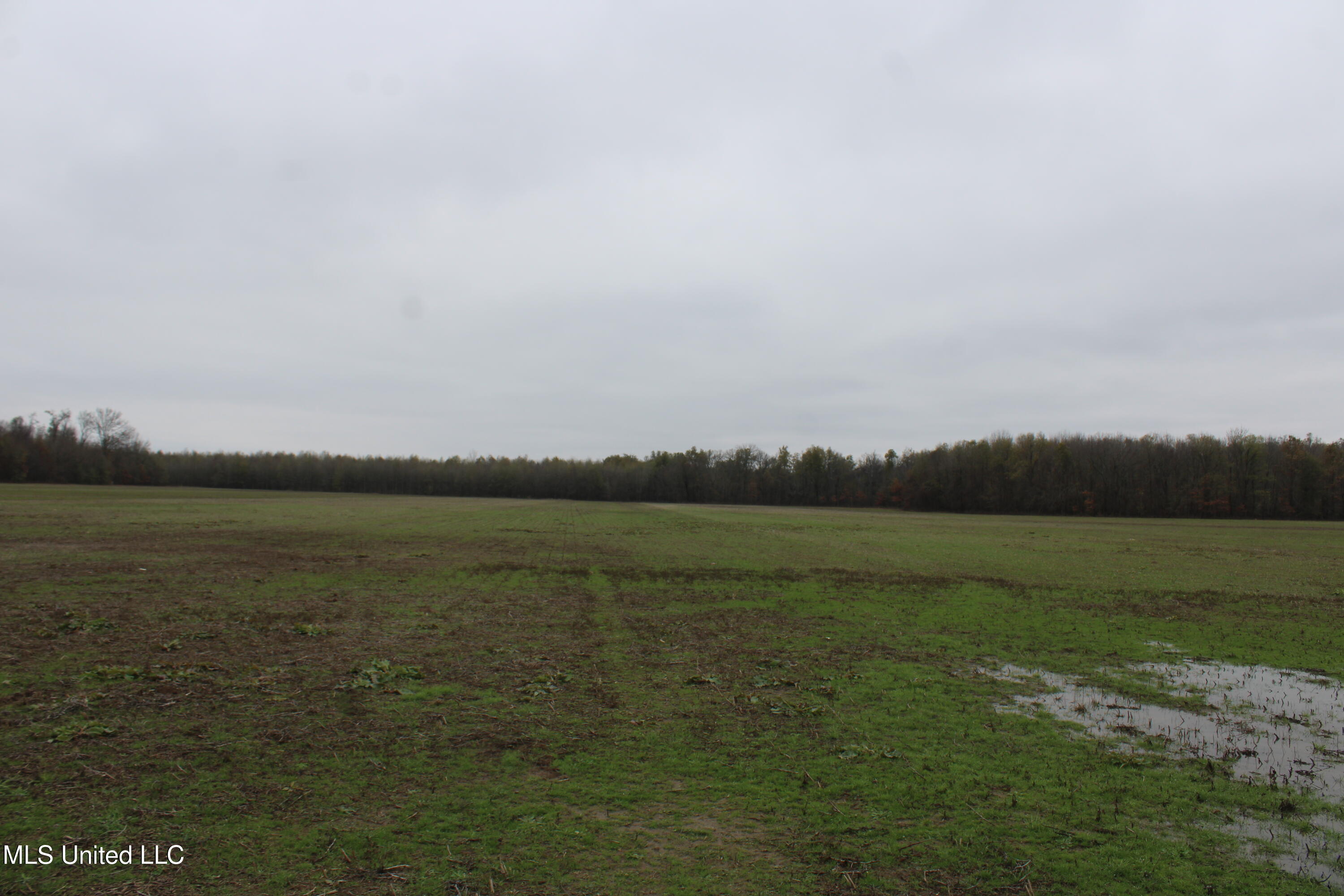 2000 Walnut Lake Road Dundee, MS 38626 - Photo 26 of 34 IMG_6991