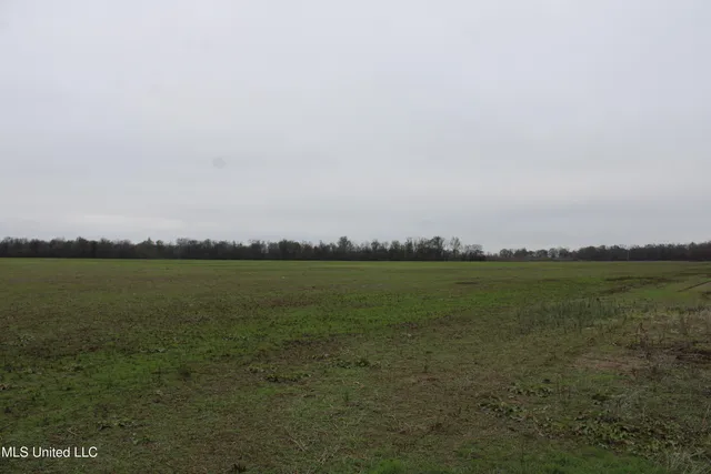 $1,250,000 | 2000 Walnut Lake Road, Dundee, MS 38626