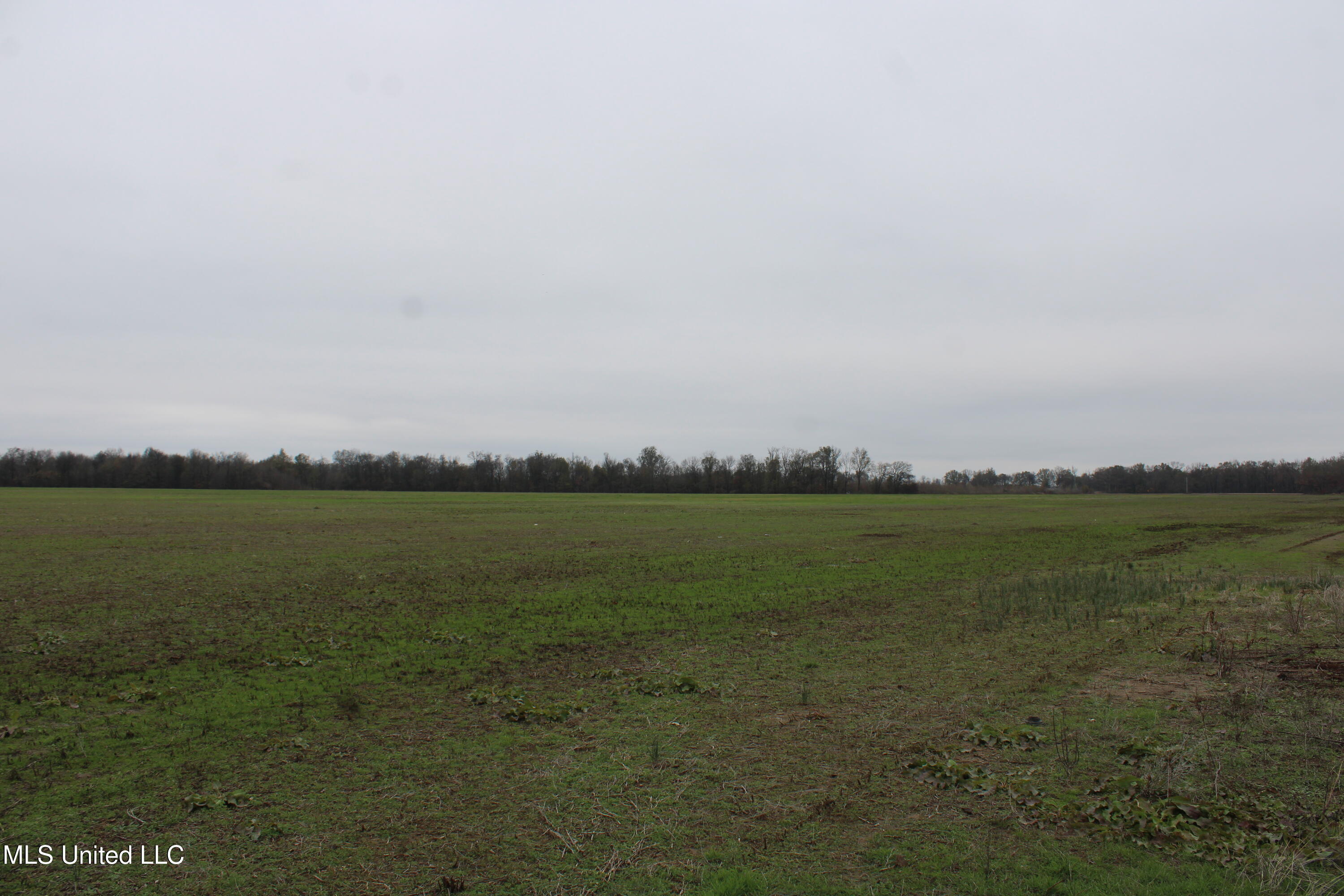 2000 Walnut Lake Road Dundee, MS 38626 - Photo 27 of 34 IMG_6992