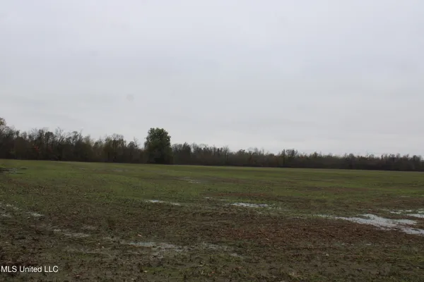 $1,250,000 | 2000 Walnut Lake Road, Dundee, MS 38626