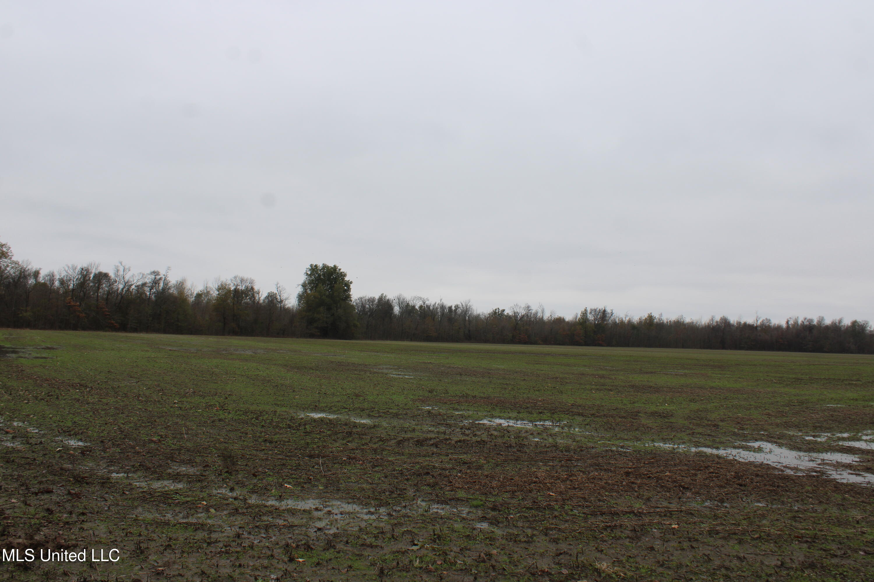 2000 Walnut Lake Road Dundee, MS 38626 - Photo 28 of 34 IMG_6993