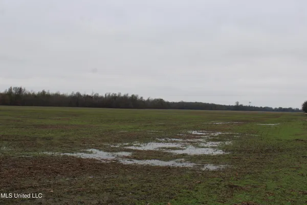 $1,250,000 | 2000 Walnut Lake Road, Dundee, MS 38626