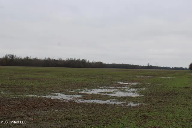 $1,250,000 | 2000 Walnut Lake Road, Dundee, MS 38626