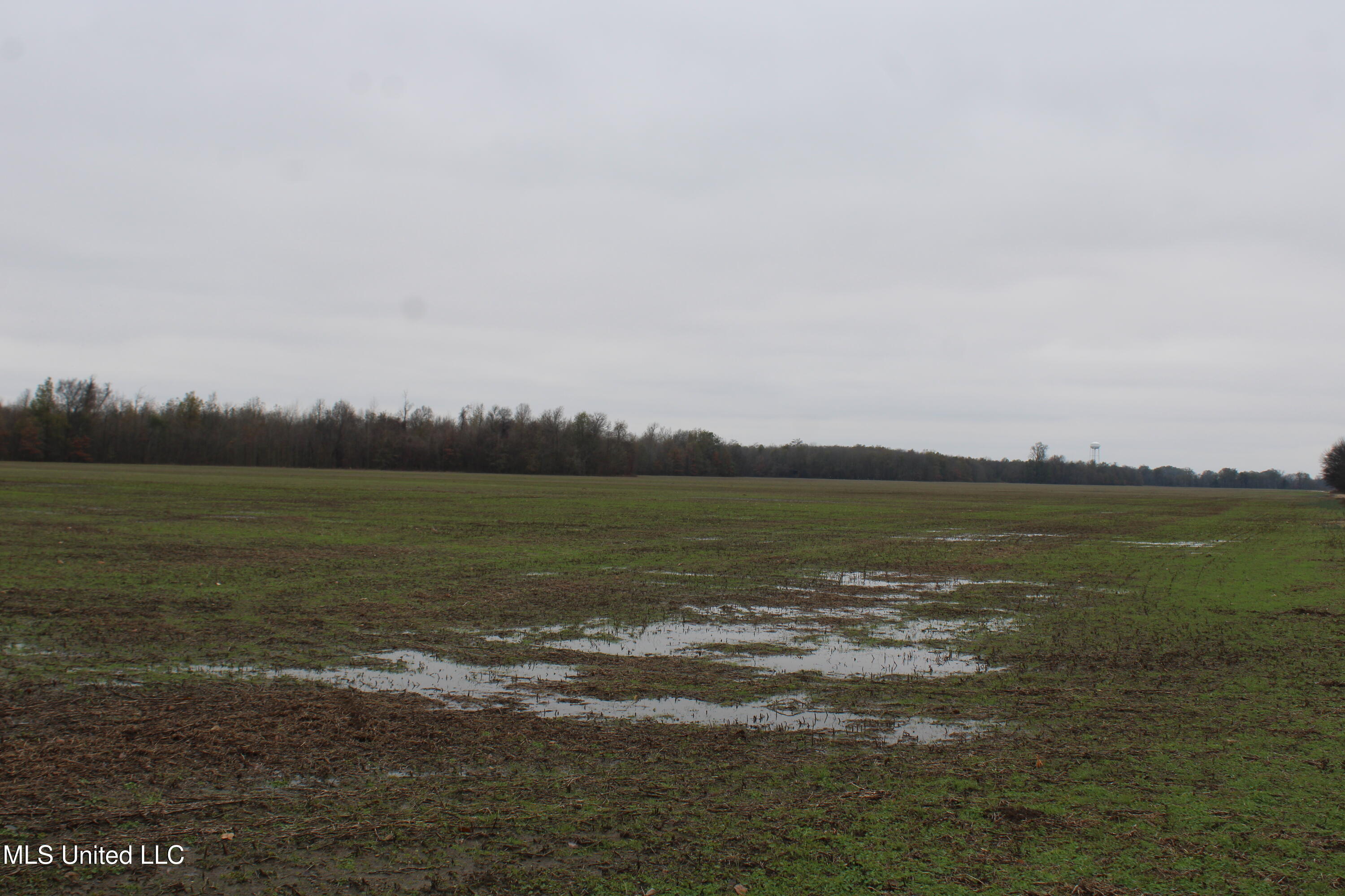 2000 Walnut Lake Road Dundee, MS 38626 - Photo 29 of 34 IMG_6994