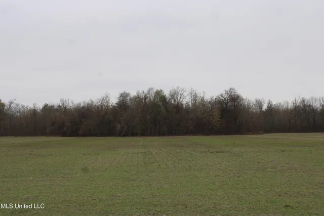 $1,250,000 | 2000 Walnut Lake Road, Dundee, MS 38626