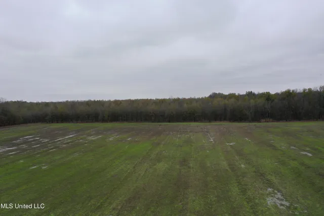 $1,250,000 | 2000 Walnut Lake Road, Dundee, MS 38626