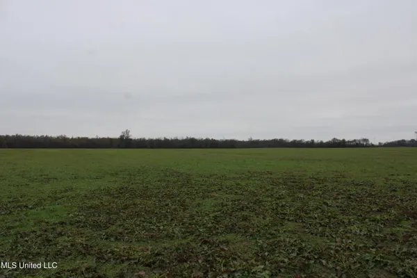 $1,250,000 | 2000 Walnut Lake Road, Dundee, MS 38626