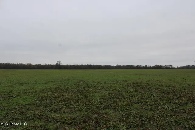 $1,250,000 | 2000 Walnut Lake Road, Dundee, MS 38626