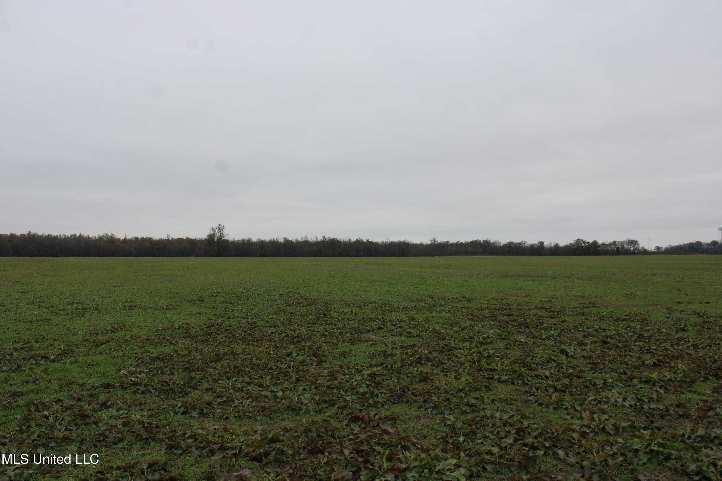 2000 Walnut Lake Road Dundee, MS 38626 - Photo 31 of 34 IMG_6996