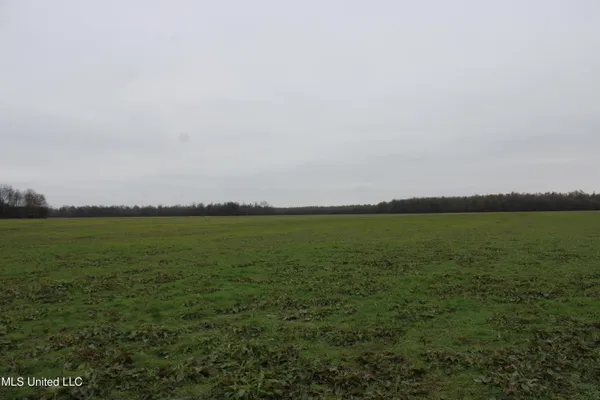 $1,250,000 | 2000 Walnut Lake Road, Dundee, MS 38626