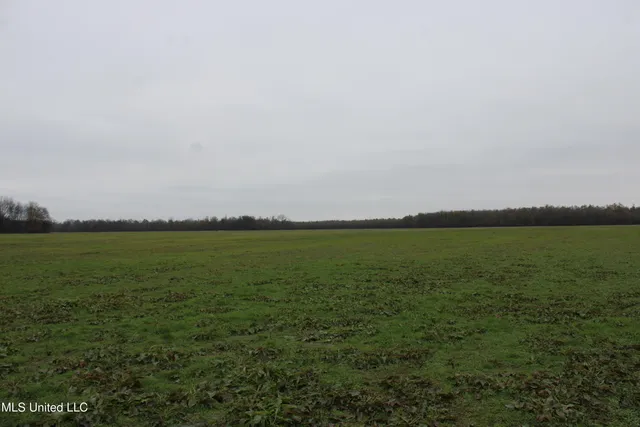 $1,250,000 | 2000 Walnut Lake Road, Dundee, MS 38626