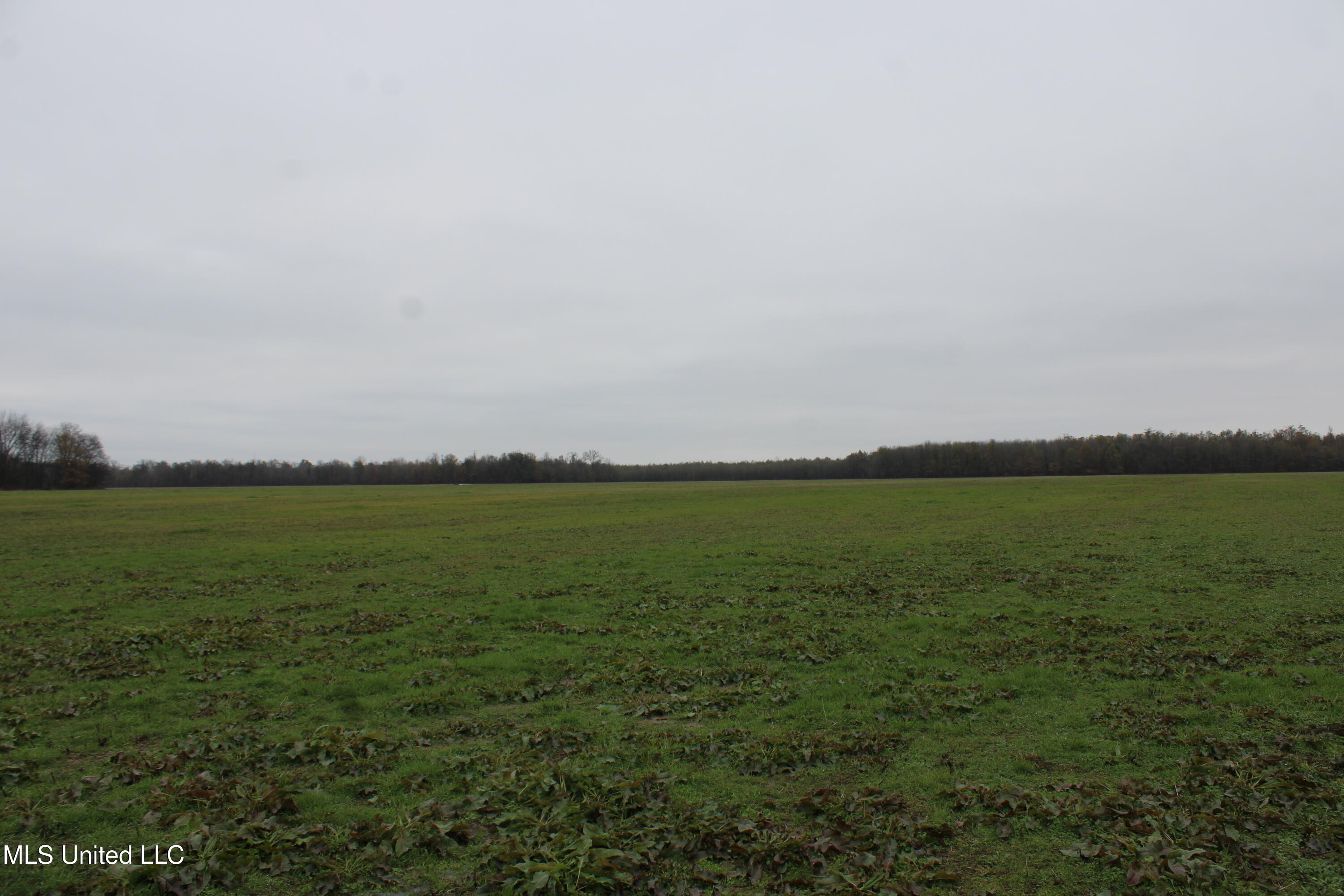 2000 Walnut Lake Road Dundee, MS 38626 - Photo 32 of 34 IMG_6997