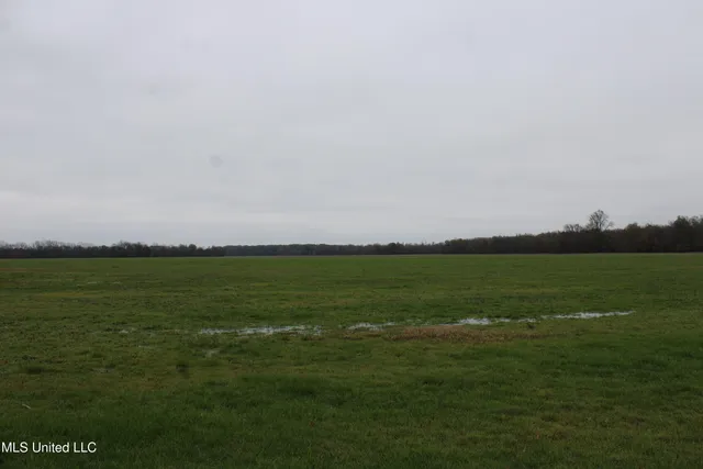 $1,250,000 | 2000 Walnut Lake Road, Dundee, MS 38626