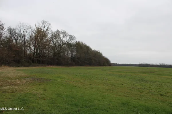 $1,250,000 | 2000 Walnut Lake Road, Dundee, MS 38626