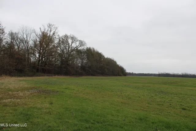 $1,250,000 | 2000 Walnut Lake Road, Dundee, MS 38626