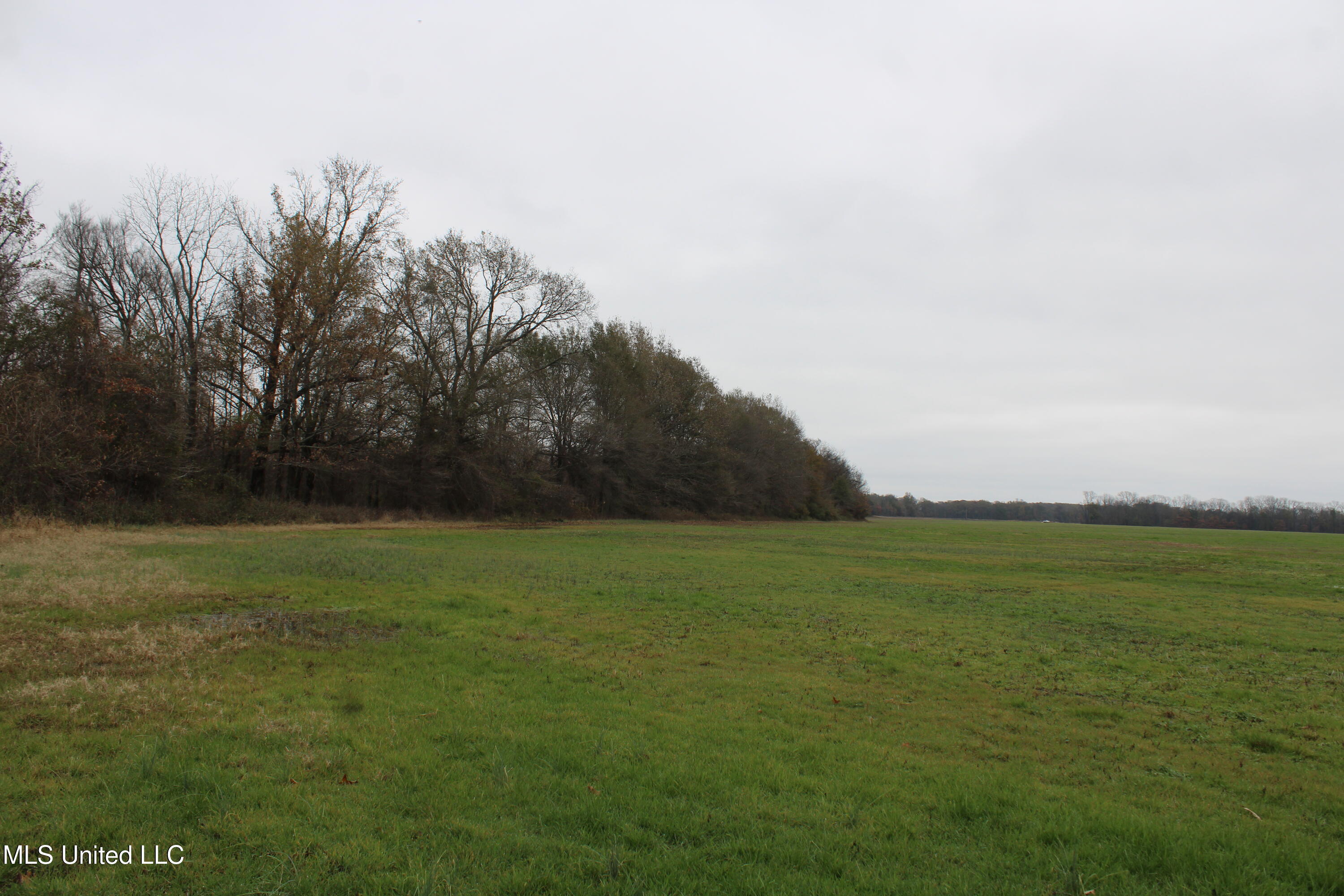 2000 Walnut Lake Road Dundee, MS 38626 - Photo 34 of 34 IMG_6999