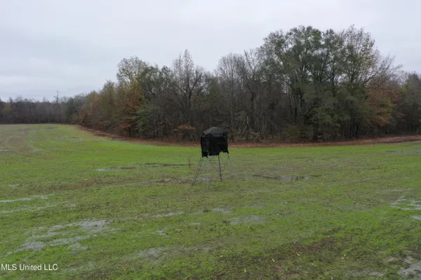 $1,250,000 | 2000 Walnut Lake Road, Dundee, MS 38626