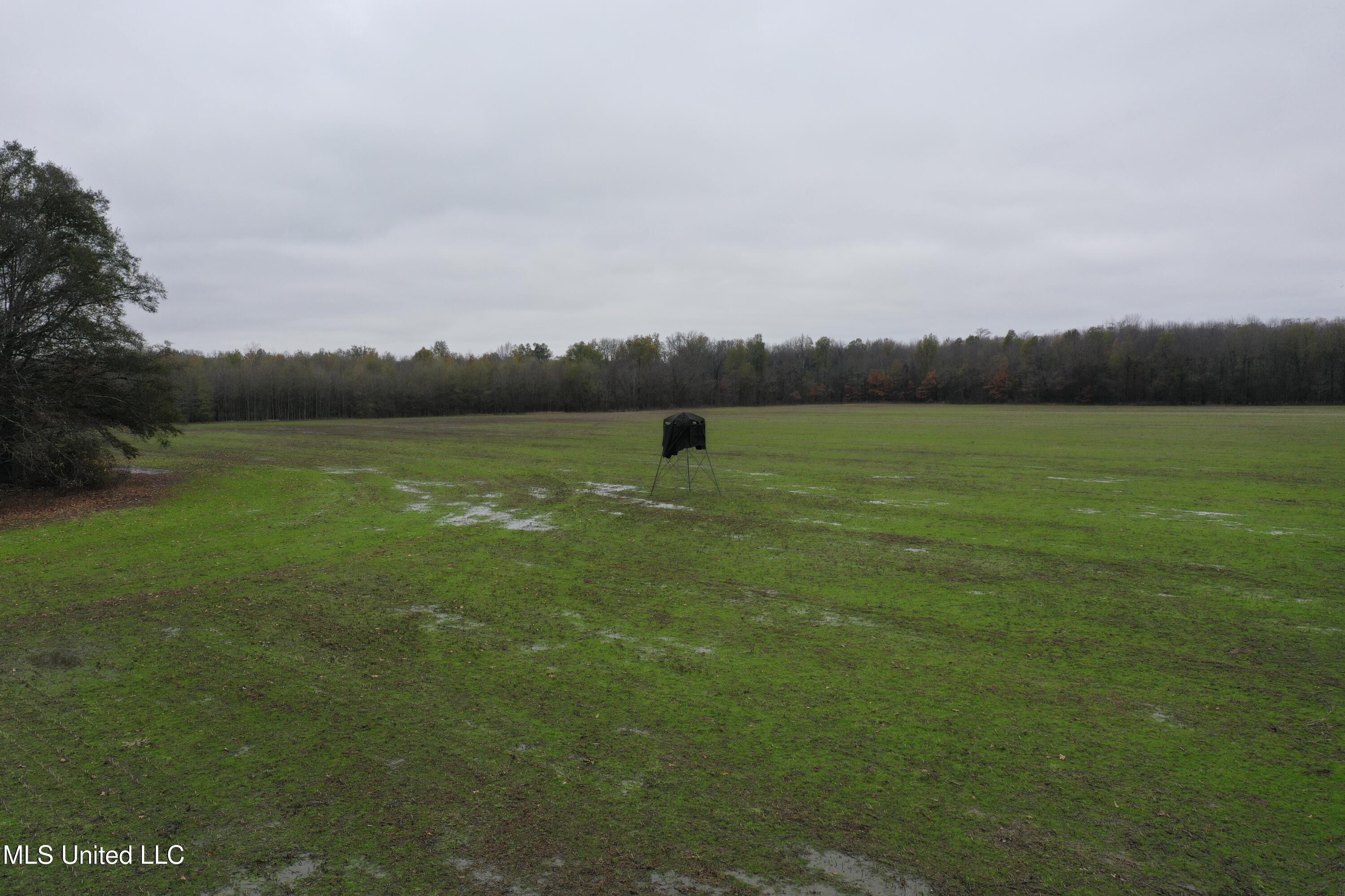 2000 Walnut Lake Road Dundee, MS 38626 - Photo 5 of 34 DJI_0700