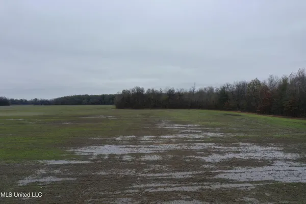 $1,250,000 | 2000 Walnut Lake Road, Dundee, MS 38626