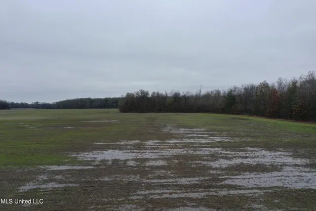 $1,250,000 | 2000 Walnut Lake Road, Dundee, MS 38626