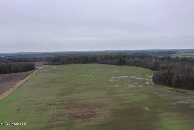 $1,250,000 | 2000 Walnut Lake Road, Dundee, MS 38626
