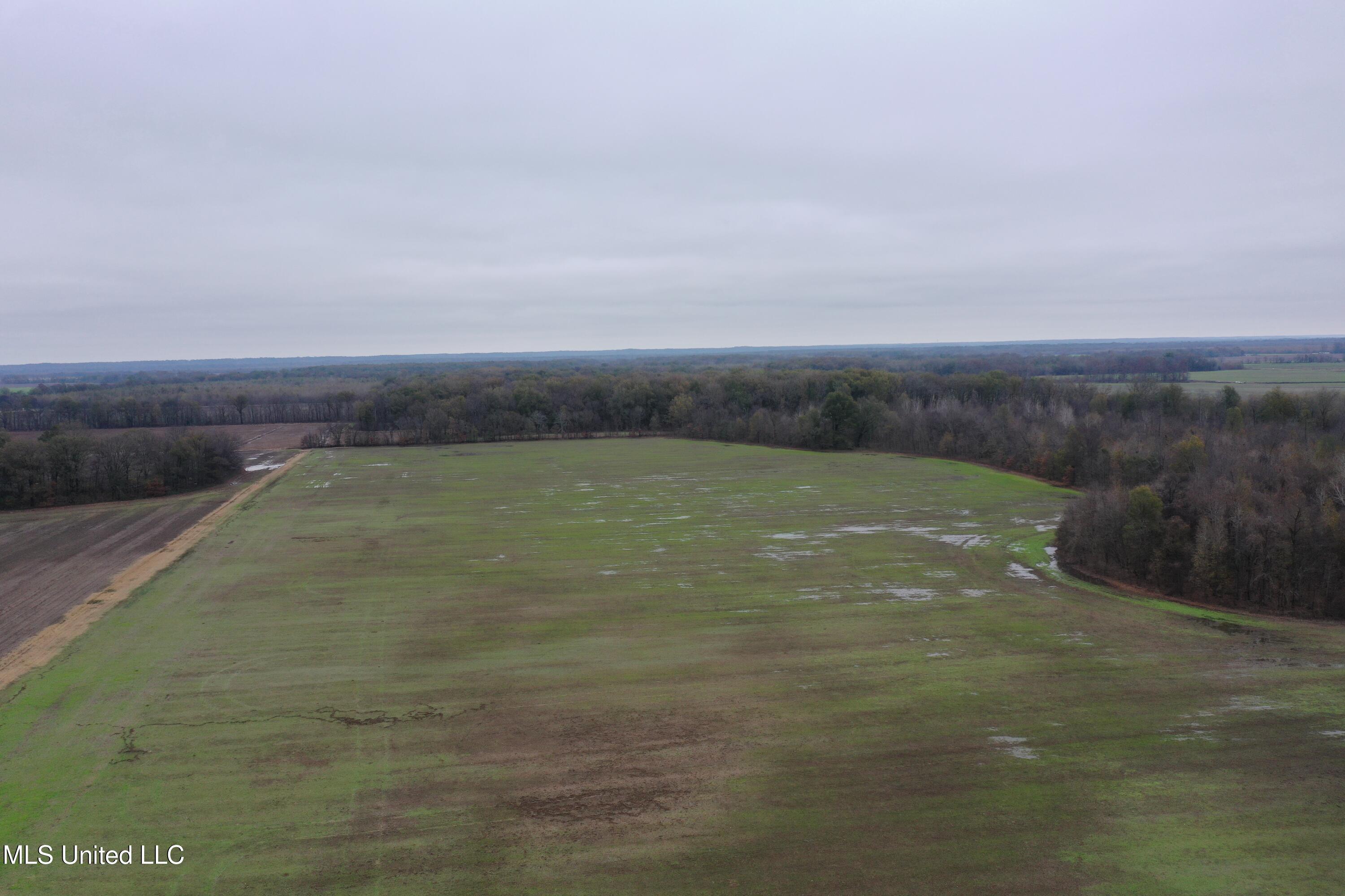 2000 Walnut Lake Road Dundee, MS 38626 - Photo 7 of 34 DJI_0702