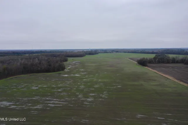 $1,250,000 | 2000 Walnut Lake Road, Dundee, MS 38626