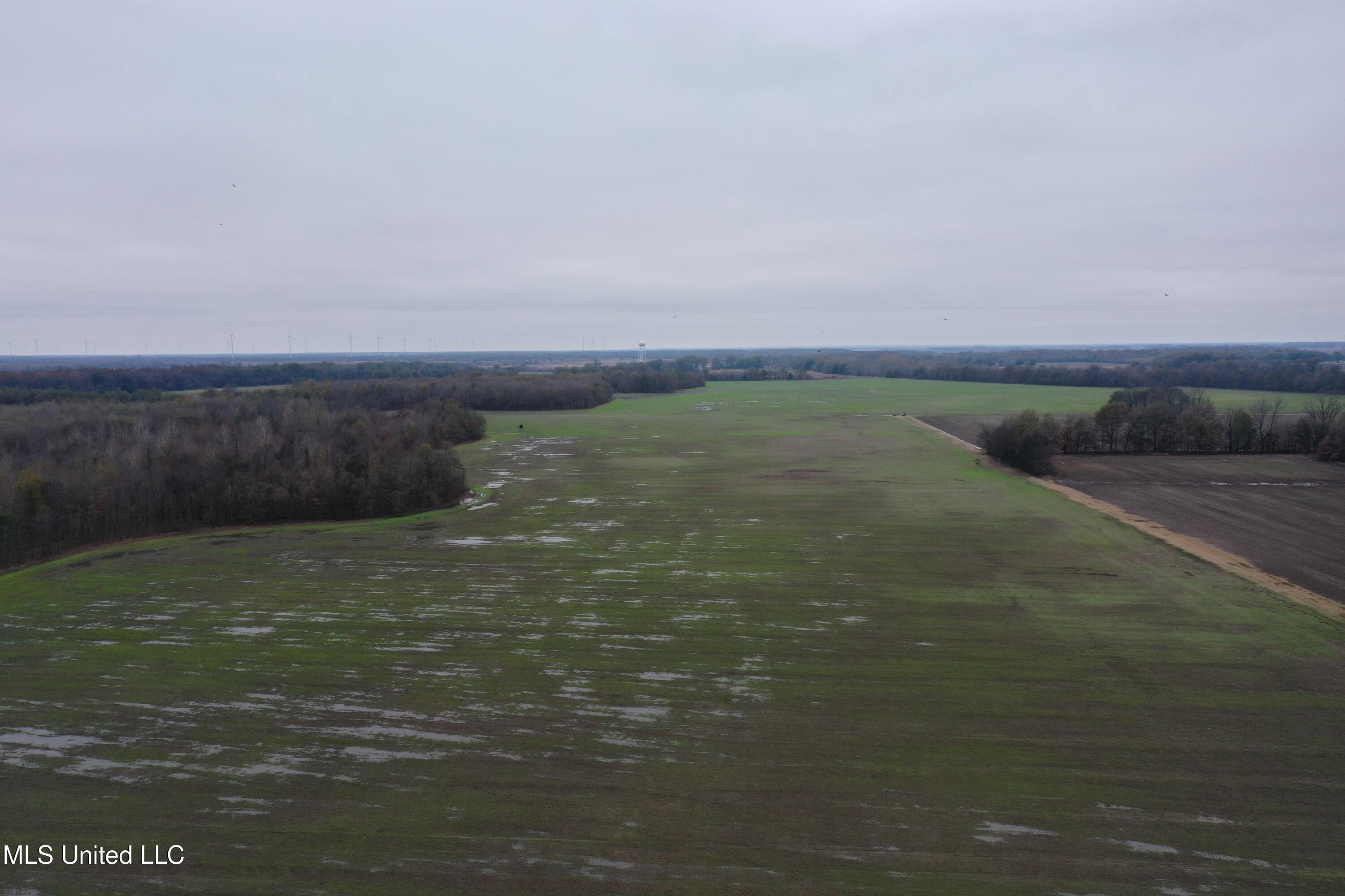 2000 Walnut Lake Road Dundee, MS 38626 - Photo 8 of 34 DJI_0703