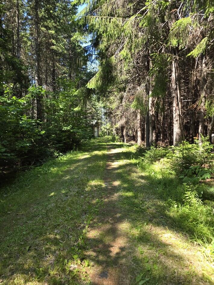 871 Estabrook Road Amity, ME 04471 - Photo 16 of 35 20260727_111150