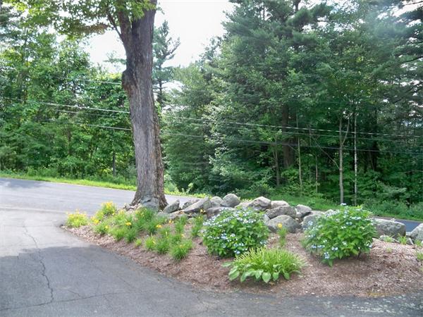 284 Mountain Road Gill, MA 01354 - Photo 27 of 28 a view of a garden with plants