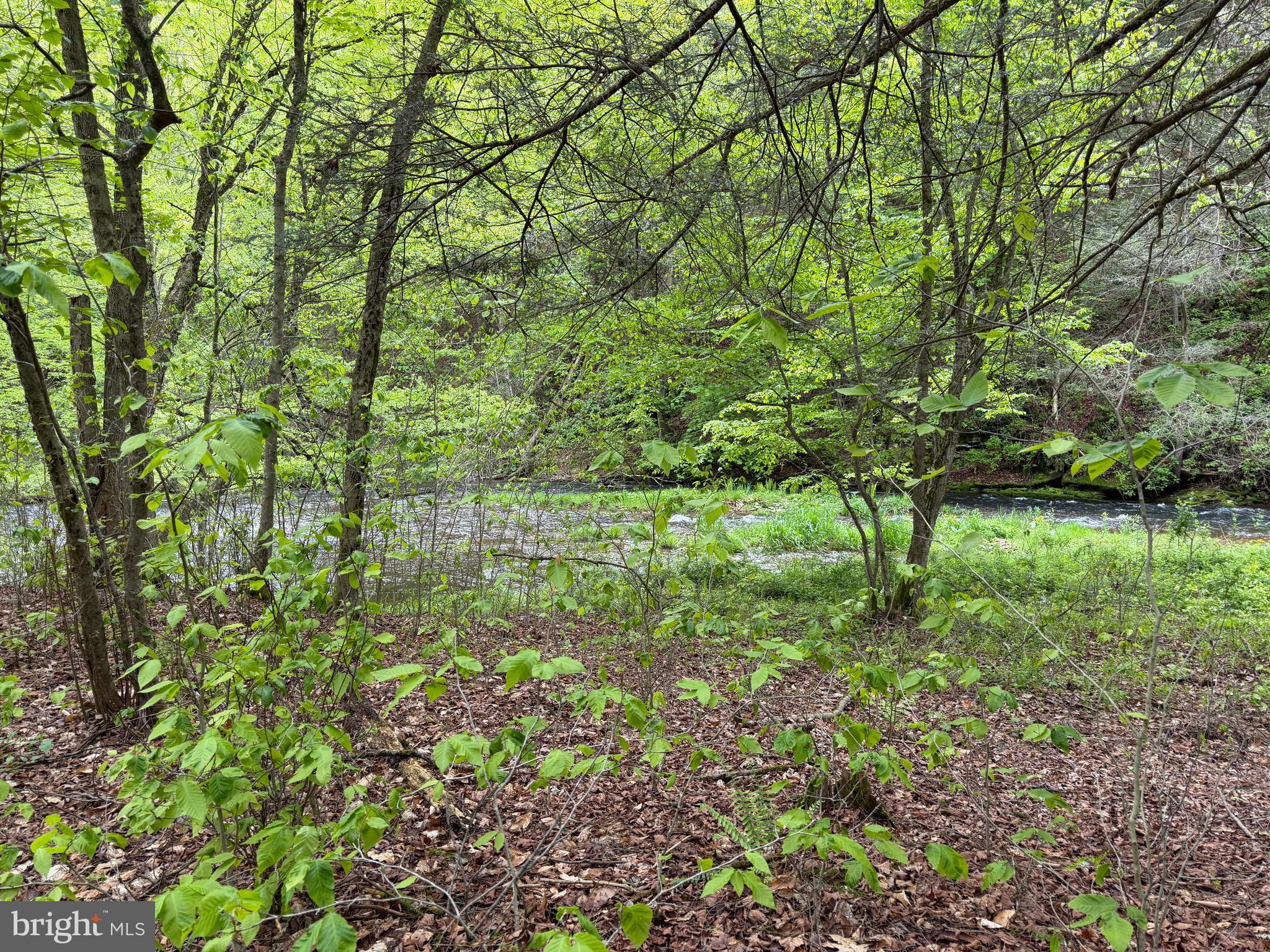1227 Cross Fork Creek Road Cross Fork, PA 17729 - Photo 84 of 139
