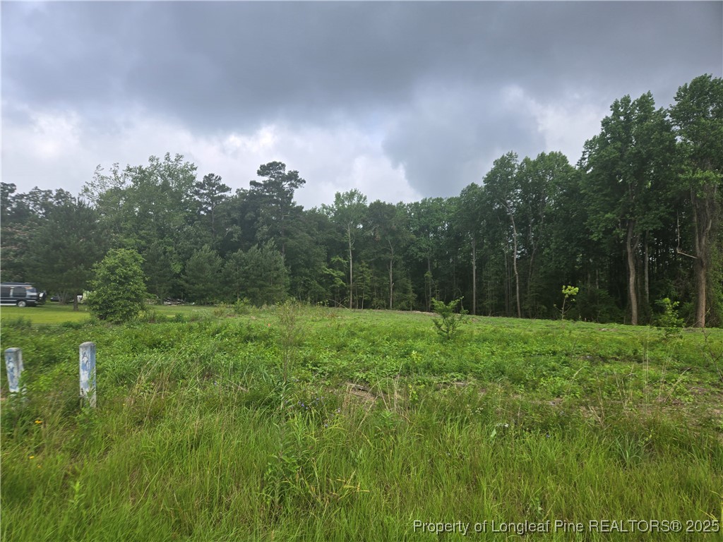 Blue Springs Road Red Springs, NC 28377 - Photo 11 of 15 Gallery Image 11