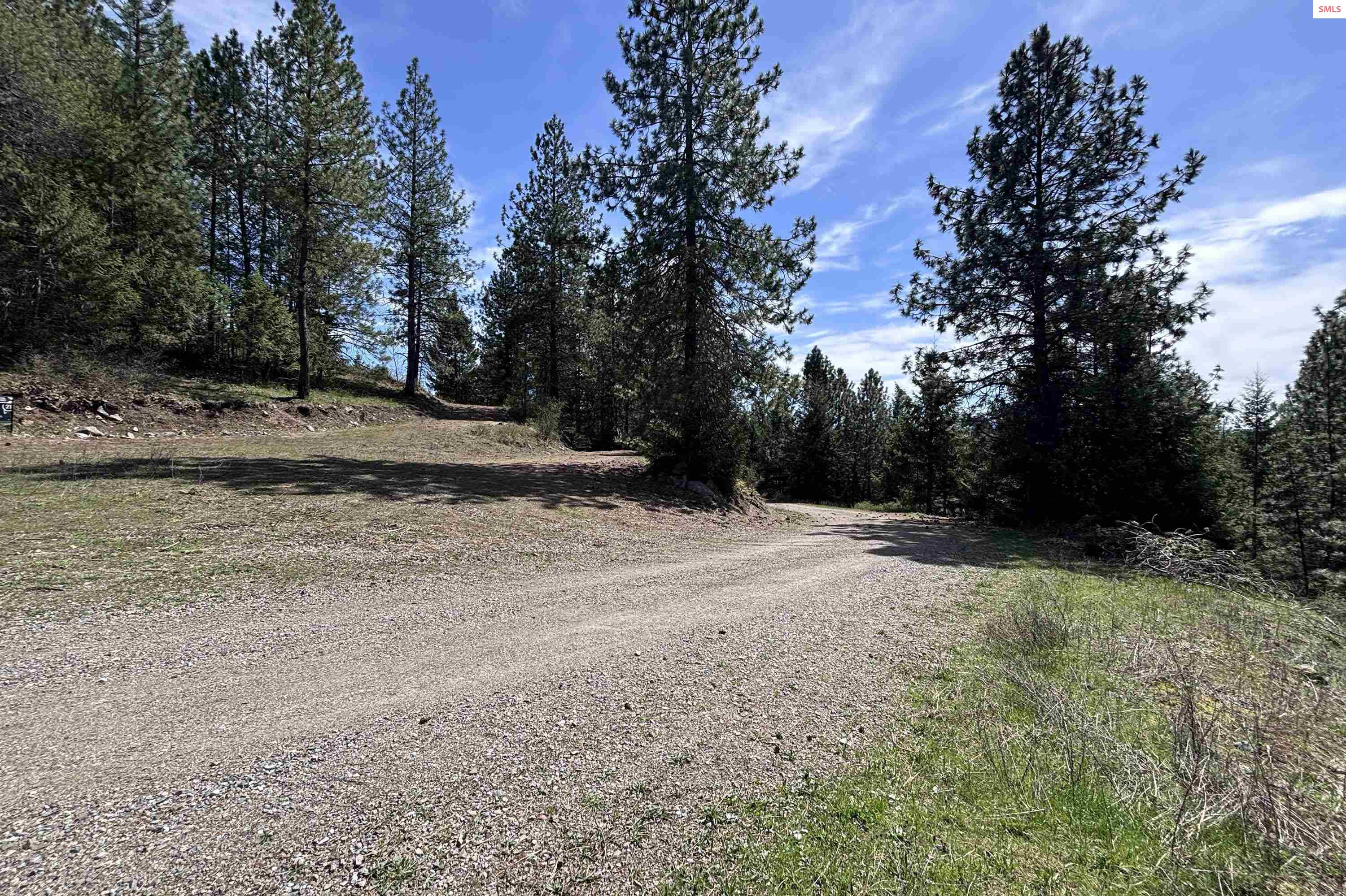 203 Richardsons Ridge Road Careywood, ID 83809 - Photo 12 of 22 Gallery Image 12